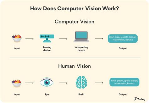 Development of a computer vision